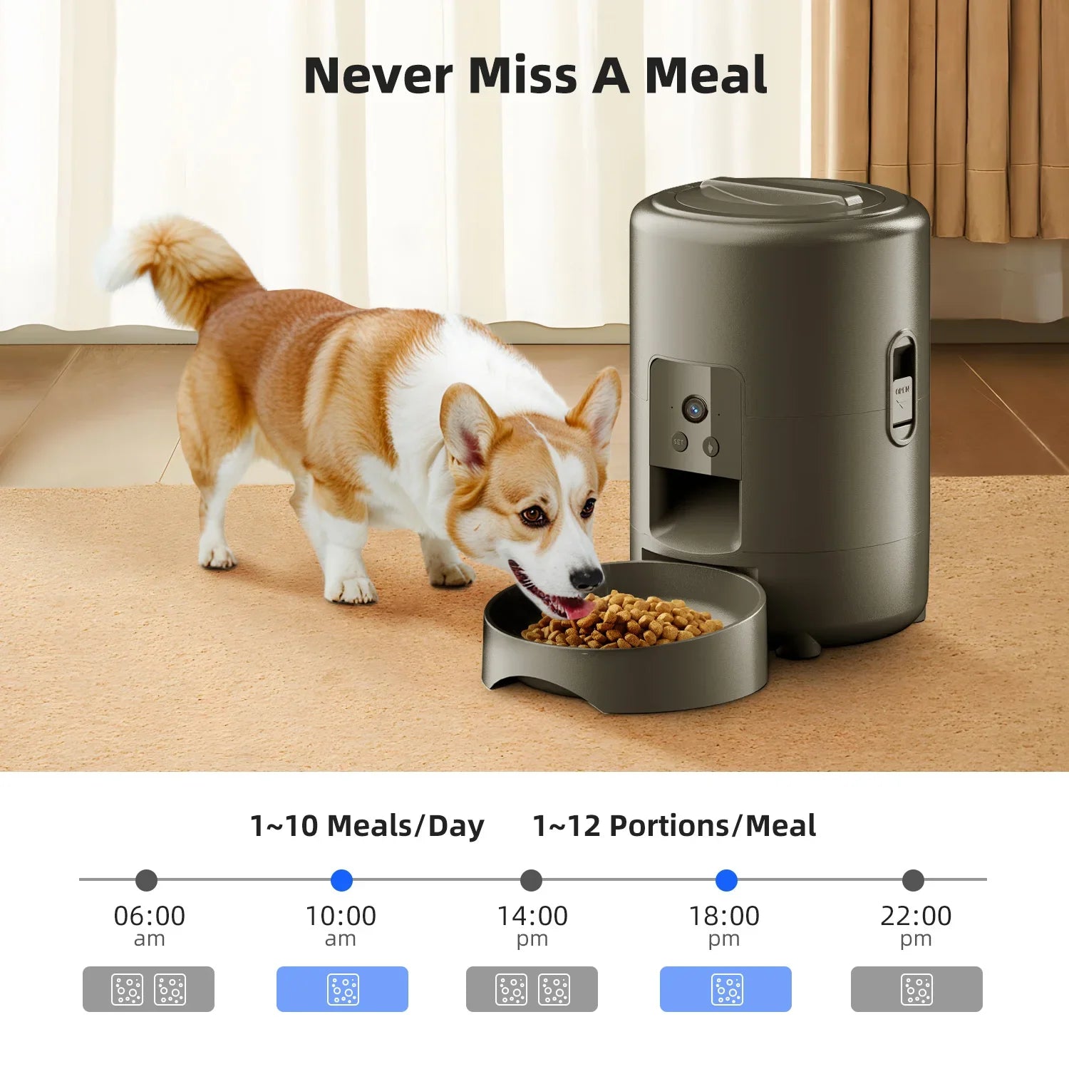 2 L Automatic Pet Feeder with Photography Cat and Dog Food Dispenser Smart Timer No Night Vision Pet Feeding Supplies